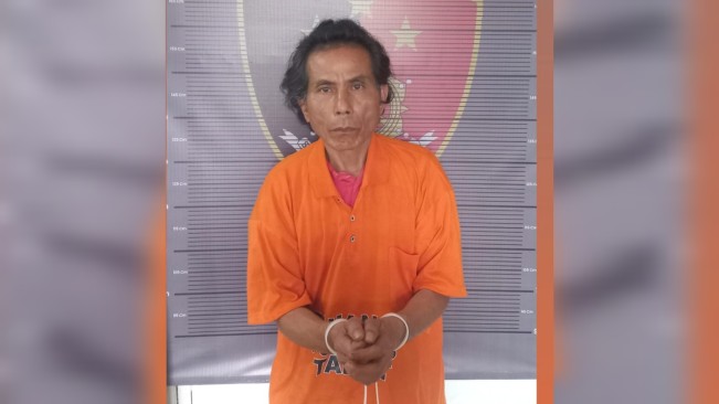 Pelaku penikaman diamankan polisi. [Dok Polres Taput]
